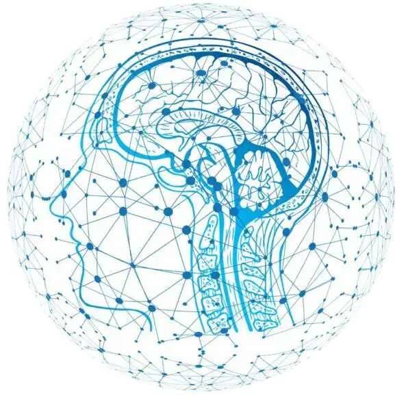Brain Map