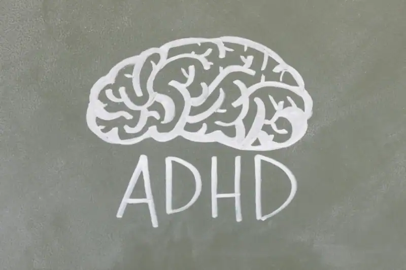 adhd brain